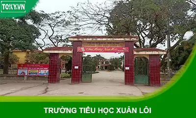 Thi công vách ngăn tấm compact hpl trường tiểu học Xuân Lôi